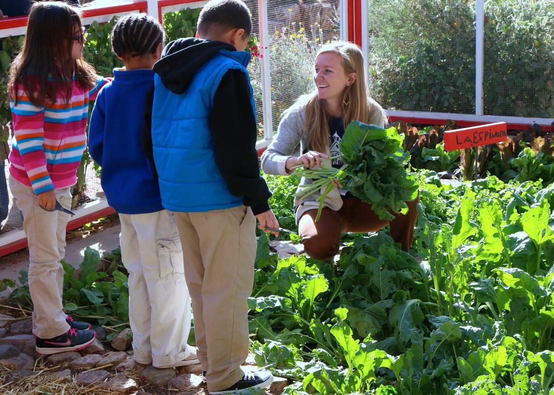 The Community and School Garden Program, housed in the School of Geography and Development, is one of the many outreach programs that will be supported by the new UA Center for Regional Food Studies. The Community and School Garden Program, housed in the School of Geography and Development, is one of the many outreach programs that will be supported by the new UA Center for Regional Food Studies.